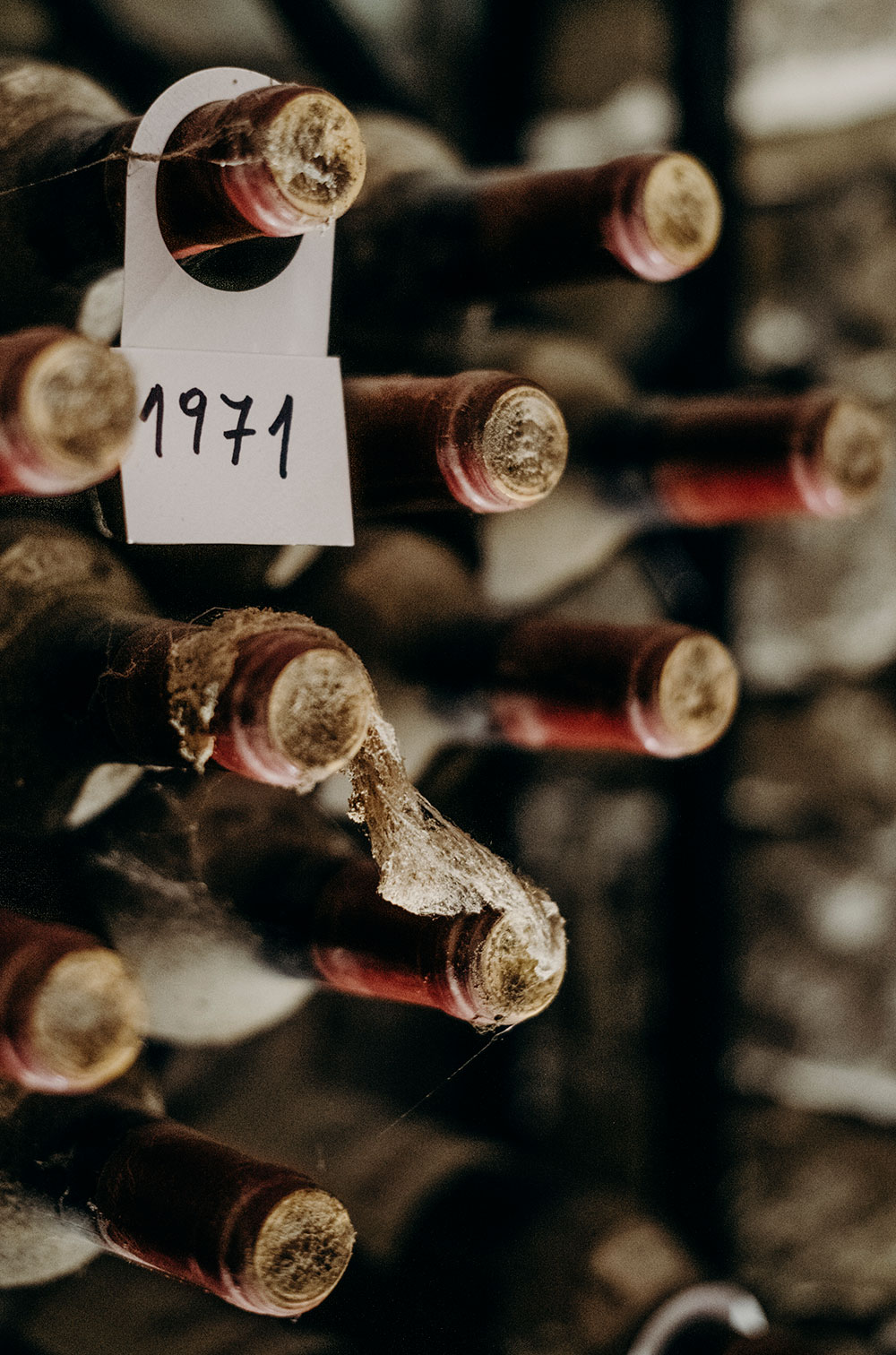 Vini Cascina Luisin